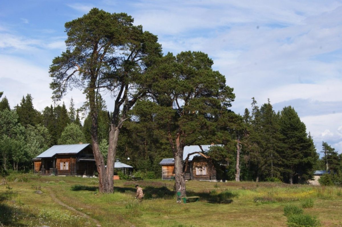 База отдыха на белом море. Кедр Грасс белое море. Cedar grass Умба. Отель Cedar grass. Умба турбаза белое море.